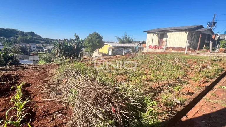 Imagem Terreno São Cristovão