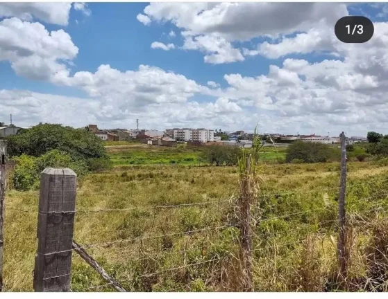 Imagem Terreno à venda em Lagarto: Oportunidade única em rua asfaltada!