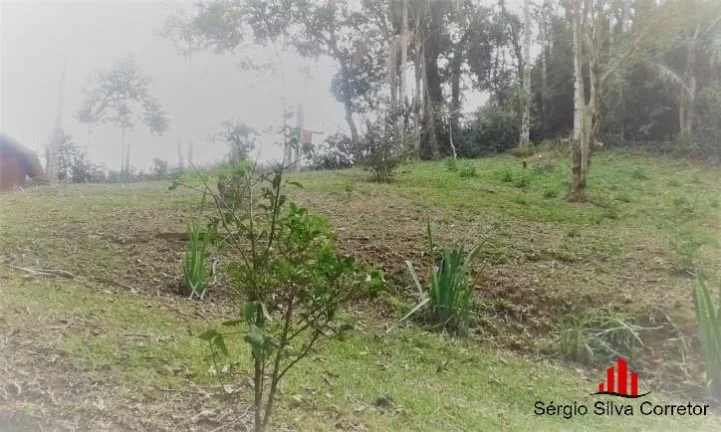 Imagem Chácara Para Venda Com 45.000,00 m², em Santo Antônio do Pinhal.
