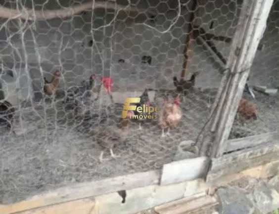 Imagem BELO E ESPAÇOSO SÍTIO À VENDA NA REGIÃO DA COMUNIDADE DE ANDANA, EM GUARAPARI/ES!
