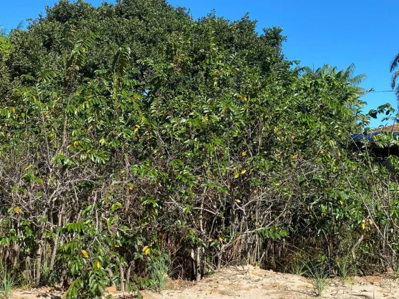 Imagem TERRENOS PRÓXIMOS AO MAR