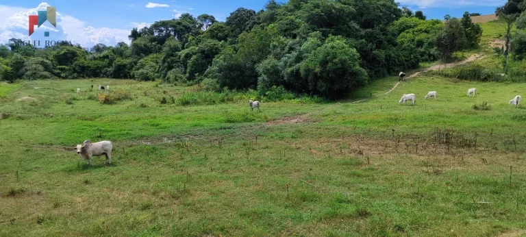 Imagem Fazenda região de Sorocaba SP