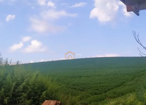 Imagem SITIO RURAL em PITANGA - PR, Rural