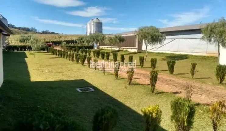 Imagem Sítio à venda, RURAL, Roncador, PR