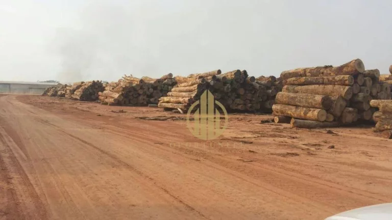 Imagem Fazenda à venda, - Área rural de Feijó - Feijó/AC