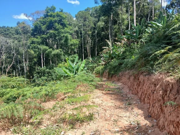 Imagem Sitio em Melgaço Domingos Martins