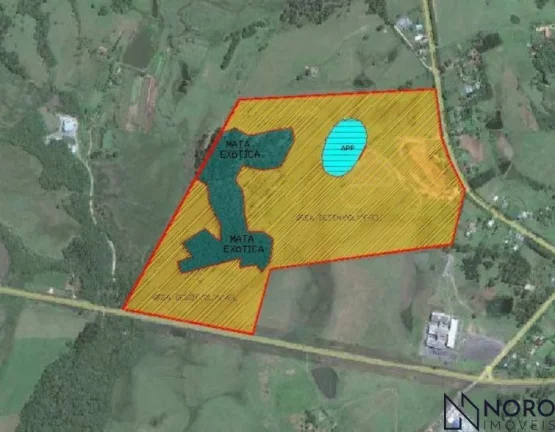 Área Rural - 3 hectares - Boca do Monte