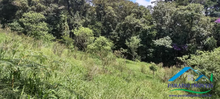 Imagem Paraíso Ecológico: Terreno com Nascente Própria e Vista para as Montanhas.
