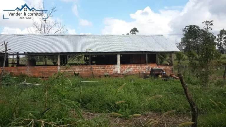 Imagem Chacara de 1,5 alqueires à venda localizado no Distr. de São Roque Sta Helena -