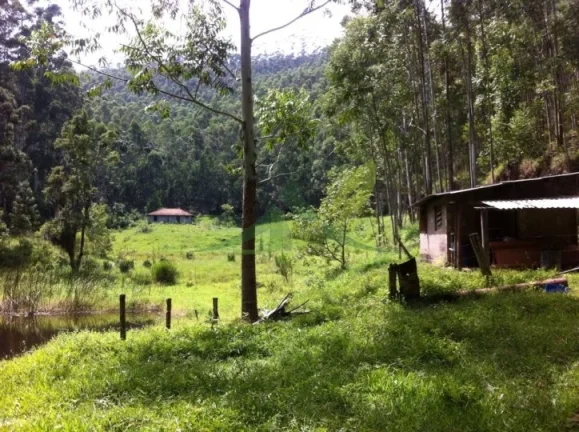 Imagem Fazenda de 48 Alqueires à Venda em Piracaia: Oportunidade Única