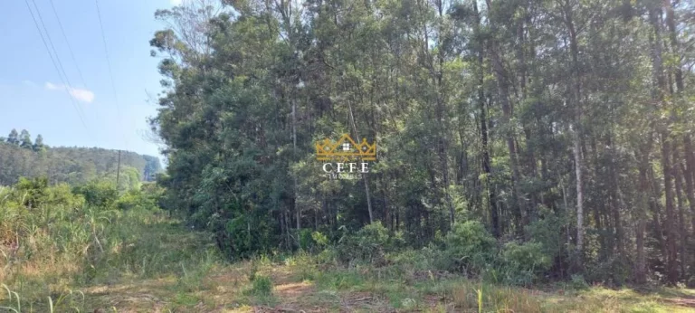 Imagem Chácara - Sítio com 2 Dormitorio(s) localizado(a) no bairro Samambaia em São Francisco de Paula / RIO GRANDE DO SUL Ref.:1542