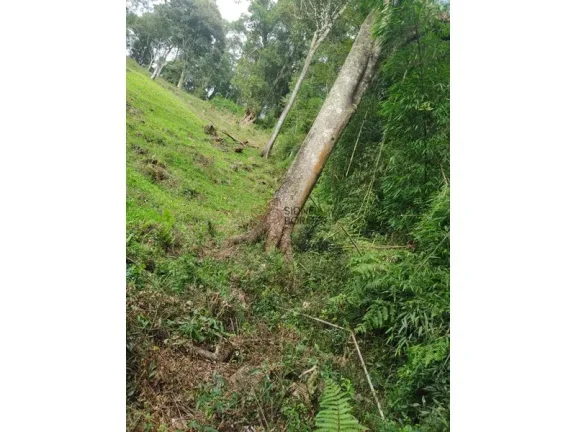 Imagem Sítio GUAÍBA - RS
