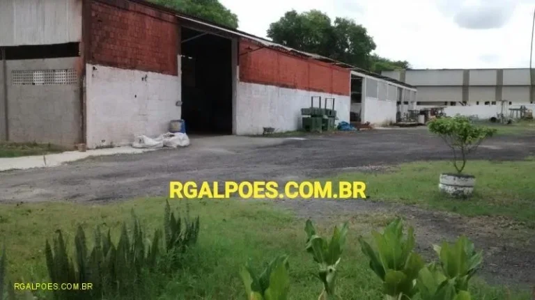 Imagem Galpão para Venda em DUQUE DE CAXIAS, Figueira