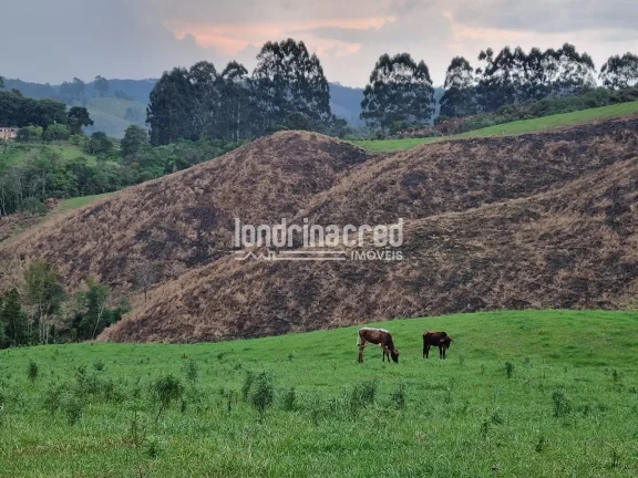 Imagem Chácara à venda 744000M², Zona Rural, Castro - PR