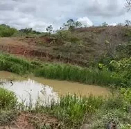 Imagem Fazenda à venda em Presidente Olegário – 58 hectares planos, mecanizáveis e com água