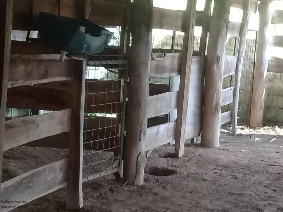 Imagem CHACARA RURAL em CALDAS - MG, zona rural de Caldas