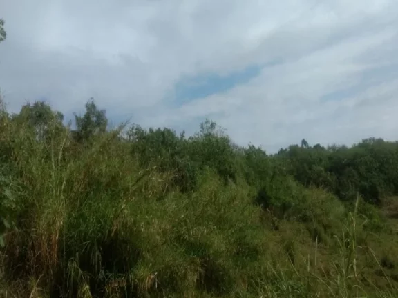 Imagem Área à venda em São Paulo - Colônia (zona Leste) com 110.080m² de área pura.