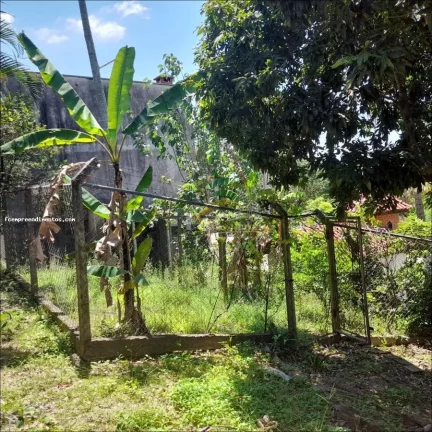 Imagem Chácara Condomínio para Venda em Limeira, Loiolas, 6 dormitórios, 1 suíte, 4 banheiros, 3 vagas