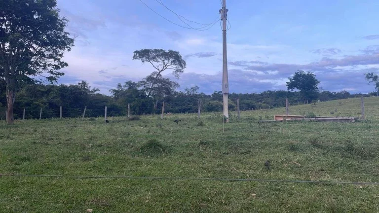 Imagem Fazenda à Venda – 117,3 Hectares em Luziânia-GO