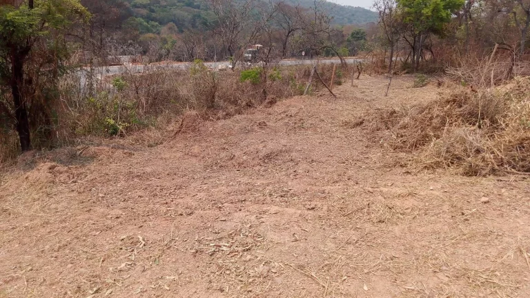 Imagem LOTE BARATO A VENDA, NO BAIRRO SATÉLITE!

LOTE DE 360M², BAIRRO SATÉLITE