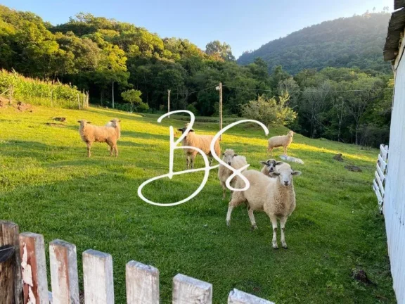 Imagem SITIO RURAL em CANELA - RS, Linha São Paulo