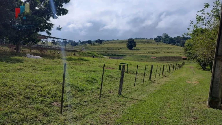 Imagem Fazenda região Itapetininga SP