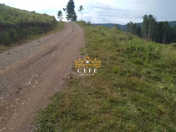 Imagem Chácara - Sítio com 2 Dormitorio(s) localizado(a) no bairro Zona Rural em São Francisco de Paula / RIO GRANDE DO SUL Ref.:1519