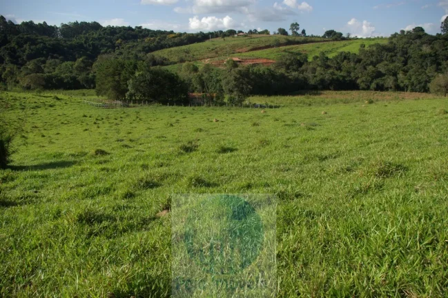 Imagem Sítio 13,5 alqueires R$ 150.000 valor do alqueire, excelente estrutura, planta milho, soja, tem 2.000 pés de mexerica - Jacuí - Minas Gerais