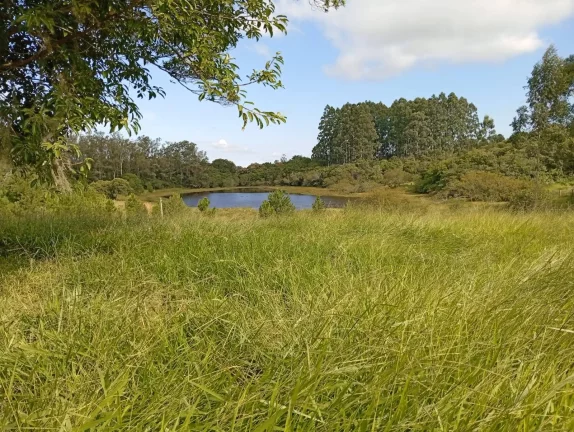 Imagem Sítio a venda com 9 Hectares, Passo da Areia, Viamão/RS