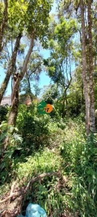 Imagem Terreno para Venda em São Roque, Taipas De Pedras (mailasqui)