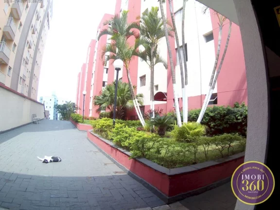 Imagem Apartamento com 2 Dormitórios à Venda, 50m² por R$ 290.000 - Vila Velha Curuçá