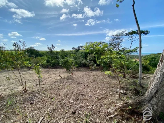 Imagem Lote à venda no Alto da Barra em Barra de Camaragibe, Rota Milagres, 540m2.