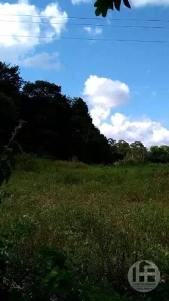 Imagem Chácara à venda com 8 hectares em Aldeia