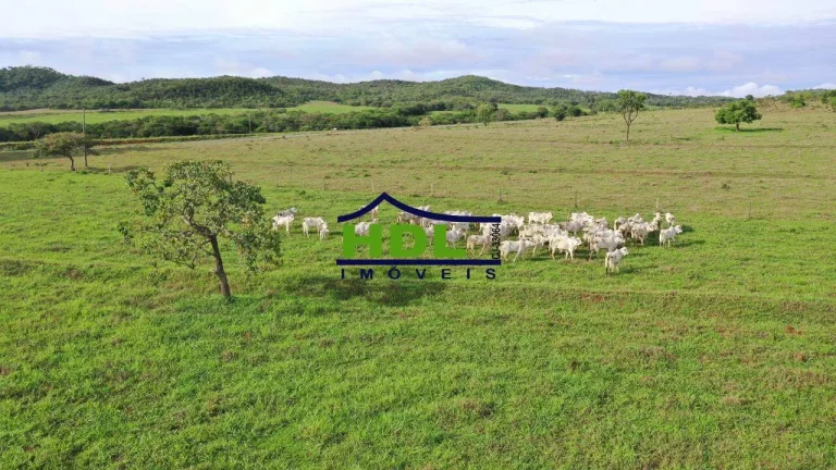Imagem Fazenda Top de 165 Alqs em Padre Bernardo GO