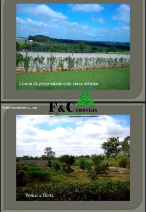 Imagem Sítio para Venda em Porto Feliz, Km 90 Rodovia Castelo Branco, 6 dormitórios, 3 banheiros, 16 vagas