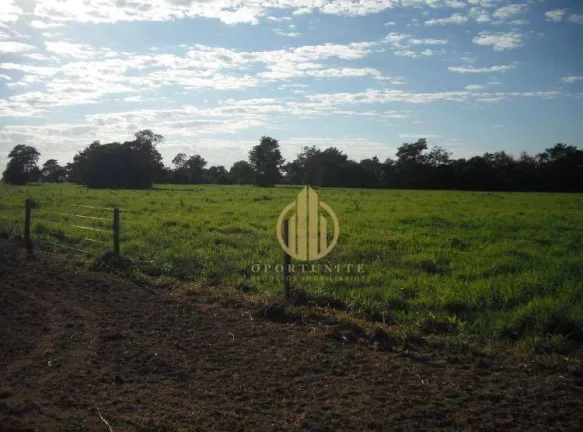 Imagem FAzenda Nova Xavantina