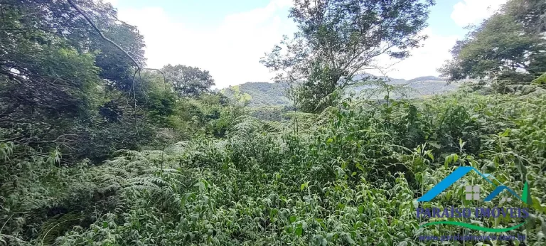 Imagem Paraíso Ecológico: Terreno com Nascente Própria e Vista para as Montanhas.