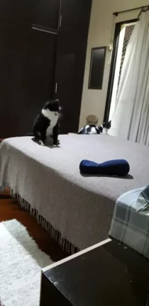 Imagem Apartamento para Venda em Santo André / SP no bairro Campestre Imagem Apartamento para Venda em Santo André / SP no bairro Campestre