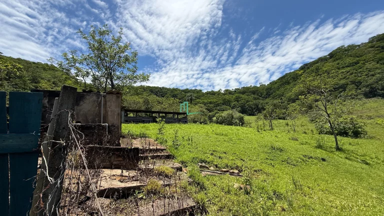 Imagem SÍTIO DE 24,99 ALQUEIRES (60,49 hectares) em RIFAINA/SP COM ESTRUTURA COMPLETA, 03 CASAS SIMPLES, E MUITA ÁGUA..
