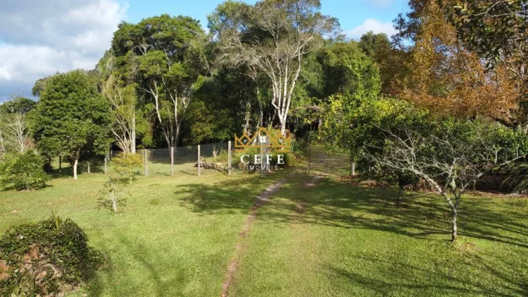 Imagem Chácara - Sítio com 1 Dormitorio(s) localizado(a) no bairro São José do Herval em Morro Reuter / RIO GRANDE DO SUL Ref.:1500