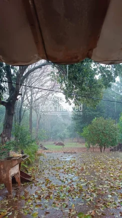 Imagem Chácara no Condomínio Piapara em Alvorada do Sul com 2.260m², 3 quartos, árvores frutíferas, café em produção, área cimentada e muito verde!