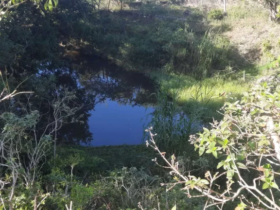 Imagem Terreno à Venda, 101.000 m² (IDEAL PARA CENTRO DE DISTRIBUIÇÃO) São Miguel , Biguaçu/SC