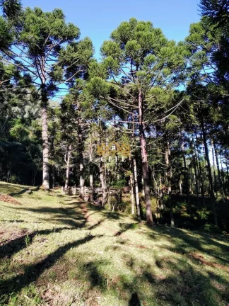 Imagem Sala Comercial à Venda, 790 m² em Centro - Morro Reuter