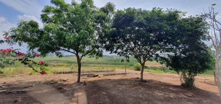 Imagem Terreno para Venda em Sapeaçu, SAPEAÇU