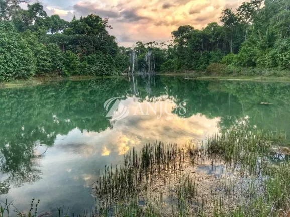 Imagem CHÁCARA Á VENDA CANTINHO DA FLORESTA I, ÁREA RURAL, SINOP - MT.