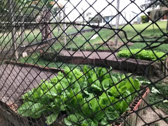 Imagem Chacara a venda dentro da cidade