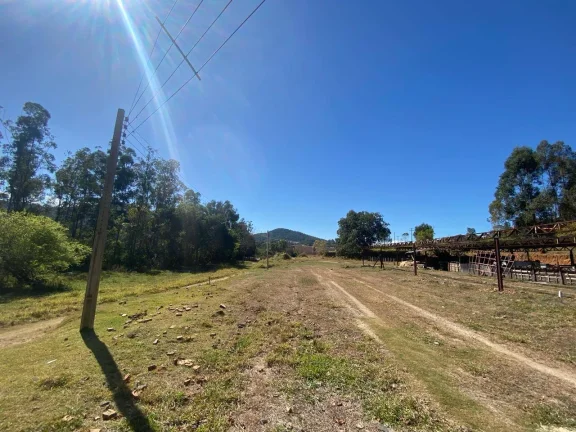 Imagem Terrenos planos de 1000m² no Menim