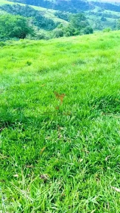 Imagem Vendo sítio com 8,47 alqueires no asfalto, Piracicaba - SP