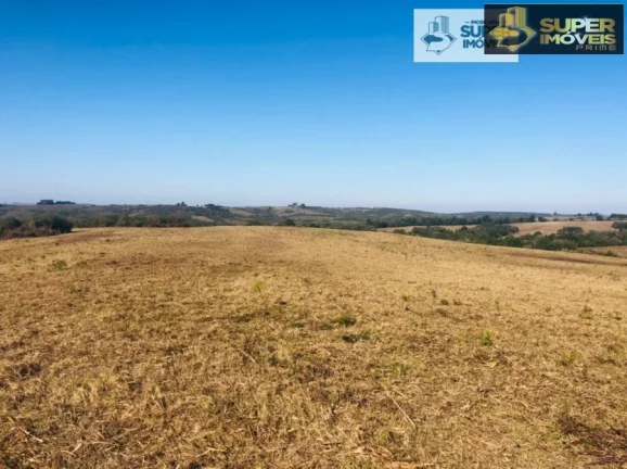 Imagem Fazenda para Venda em Herval-RS 288 hectares