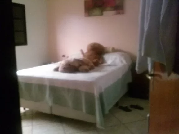 Imagem Casa - Ribeirão Preto - Cândido Portinari - Região Leste